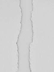 Pieces of torn paper