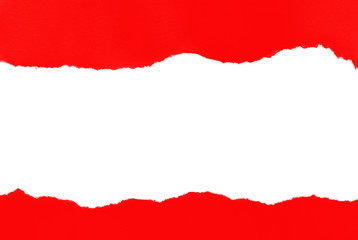 Pieces of torn paper