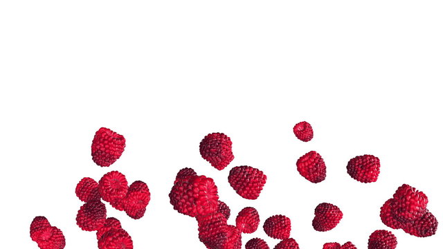 Falling raspberries on white background. 