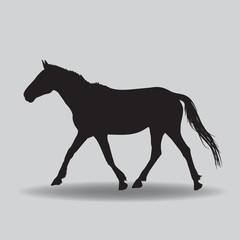 Running horse black silhouette