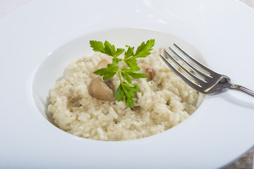 Risotto de boletus edulis