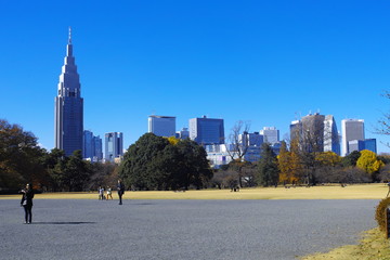 Shinjuku Gyoen 73