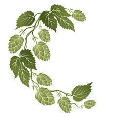 illustration of curved branches with cones of hops