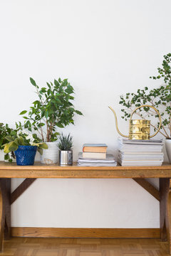 Houseplants, books, pile of journals and watering can arranged on the wooden bench