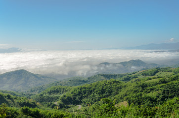 Obraz premium Natural landscape of mountains and sea of mist in the winter season,Thailand