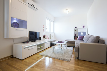 Elegant modern living room interior