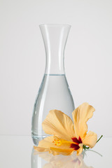 The vase with clean water and hibiskus flower © Radomir Rezny