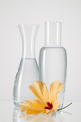 Two vases with clean water and hibiskus flower © Radomir Rezny