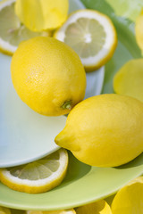 Zwei Zitronen auf pastellfarbigen Tellern mit Zitronenscheiben und gelben Blüten