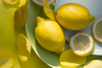 Zwei Zitronen auf pastellfarbigen Tellern mit Zitronenscheiben und gelben Blüten