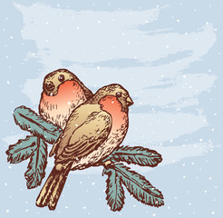 bullfinches in december