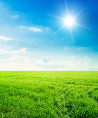 Background image of lush grass field under blue sky