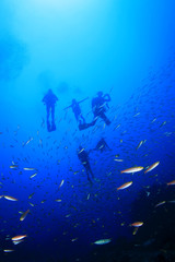 Fototapeta na wymiar Scuba diving in ocean
