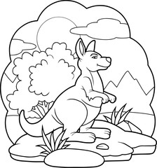 kangaroo
