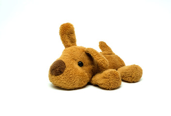 Brown dog stuffed isolated