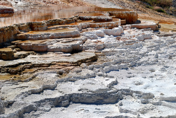 Mammoth Hot Springs Terraces im Yellowstone National Park