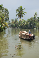Farmer Porting Grains