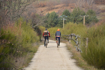 Fototapeta premium ruta ciclista por el monte