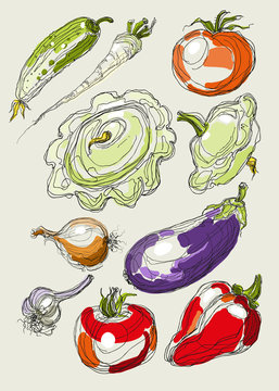 realistic vector hand drawing set of vegetables