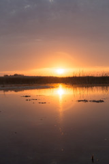 beautiful sunrise of the sun on the lake