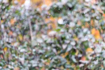 the first snow in the autumn as a background