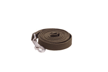 Leash dog rolled.