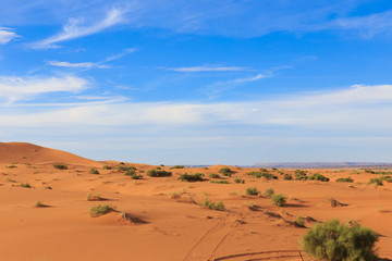 Fototapeta na wymiar Erg Chebbi. sahara desert Morocco