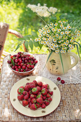 Picnic with strawberries and cherries in the garden