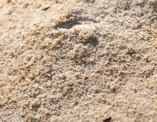 sawdust as background