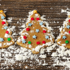 Christmas gingerbread cookie