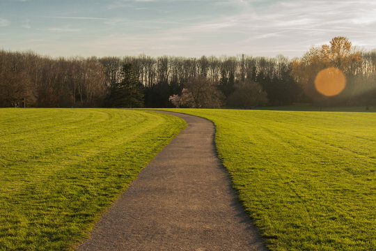 A meadow with a path to a forest with cloady sky
