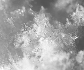 snowflakes. super macro