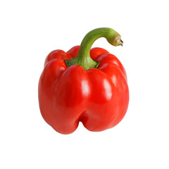 Red bulgarian pepper on isolated white