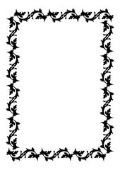 Ornamental black and white frame