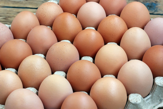 Chicken brown eggs in packing , the top view.