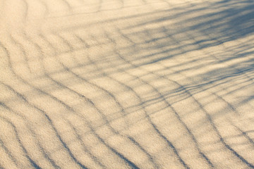 Closeup of a sand on a beach