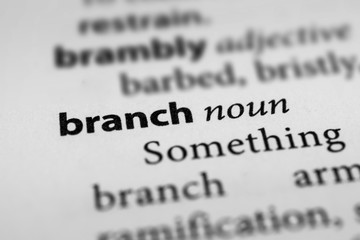 Branch