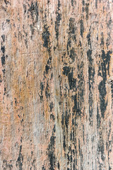 Obraz premium Old wooden planks surface background