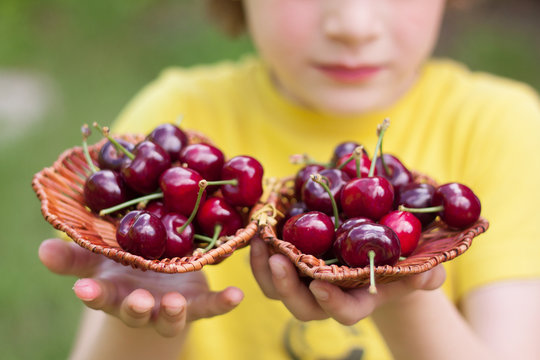 Boy Holding Two Bowls Of Cherries