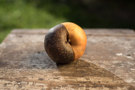 Half rotten apple on a wooden table