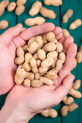 Peanut in hands
