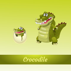 Crocodiles family, mother and newborn from the egg