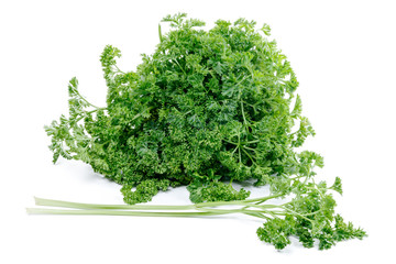 Fototapeta premium bunch of parsley isolated on white background