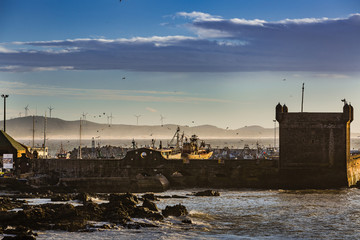 Harbor in Essaouira, Morocco