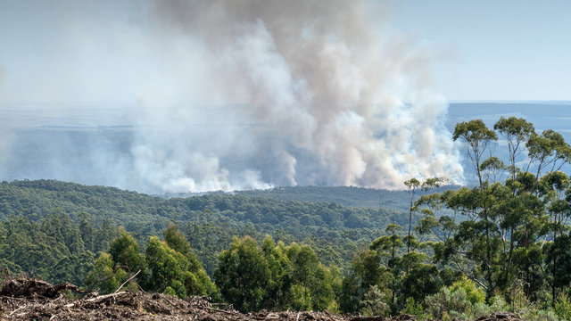 Forest fire, Lavers Hill, Victoria, Australia