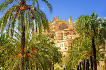 La Seu, medieval gothic cathedral, Palma de Mallorca, Spain © Boris Stroujko