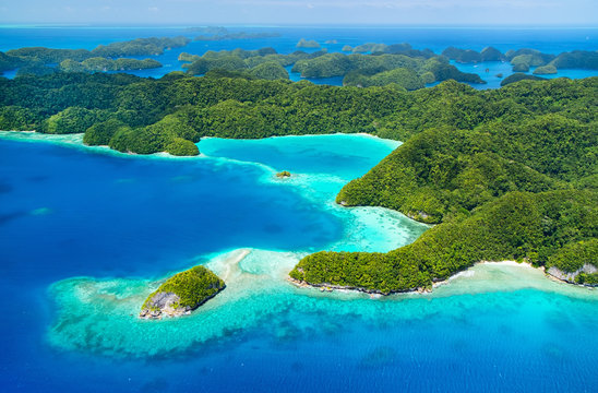 palau-bilder-bl-ddra-bland-35-686-stockfoton-vektorer-och-videor