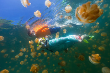 Obraz premium Tourists snorkeling in Jellyfish Lake