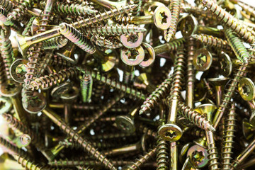 Torx screws on a white background.