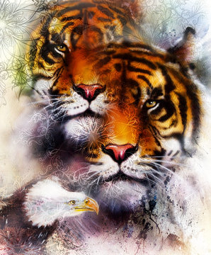 tiger with eagle and ornamental mandala. wildlife animals on painting background, Eye contact. Brown, orange, black and white color.